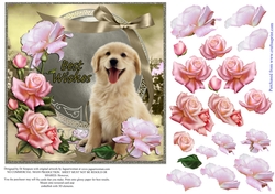 Beautiful Roses for Best Wishes Female #1