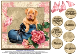Beautiful Puppy in a Boot for Mothers Day #1