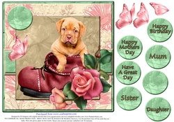 Beautiful Puppy in a Boot for Mothers Day #2