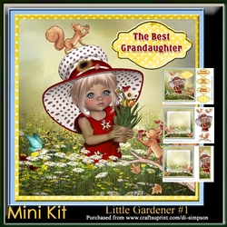 Mini Kit-Little Gardener #1- For birthday or lots of other occasions