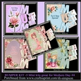 Bumber kit - 5 mini kits for Mothers day or any other day #4