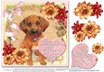 Mothers Day - Dahlias and Rhodesian Ridgeback Puppy #6