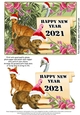 Happy New Year for 2021