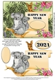 Happy New Year for 2021 and beyond