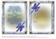 Winter Florals-merry Christmas Insert