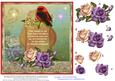 Lovely Bird-sympathy #3