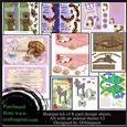 Bumper Kit- Assorted So Cute Animal Card Designs #2