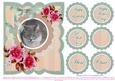 So Cute Puss for Lots of Occasions #1