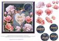 Beautiful Roses- Get Well