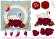 Edwardian Rose & Beautiful Swan- Best Wishes
