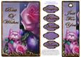 Sugar Plum Rose - Best of Wishes
