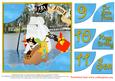 Happy Birthday- Pirate 9,10,11 Yrs