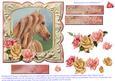 Serene Horse for Lots of Occasions