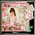 Mini Kit- Elegant Lady # 2- For lots of occasions