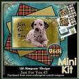 Mini Kit - Just For You #3 - For lots of occasions