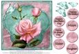 Gorgeous Rose for Mothers Day and lots of occasions #2