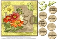Gorgeous Vintage Daisies for 50th Birthday #1