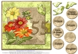 Gorgeous Vintage Daisies for 55th Birthday #2