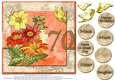 Gorgeous Vintage Daisies for 70th Birthday #5