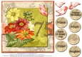 Gorgeous Vintage Daisies for 75th Birthday #6