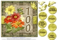 Gorgeous Vintage Daisies for 100th Birthday #11