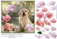 Beautiful Roses for Best Wishes Female #1