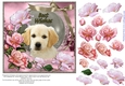 Beautiful Roses for Best Wishes Female #2
