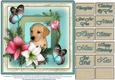 Floral design for many occasions #2