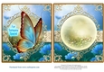 Beautiful Butterfly for lots of occasions #1