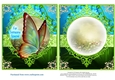 Beautiful Butterfly for lots of occasions #2