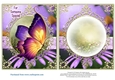 Beautiful Butterfly for lots of occasions #3