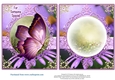 Beautiful Butterfly for lots of occasions #4