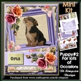 Mini Kit- Floral and puppy for lots of occasions #2