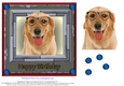  Happy Birthday #5