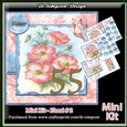 Mini Kit - Floral for Female 55yrs # 2
