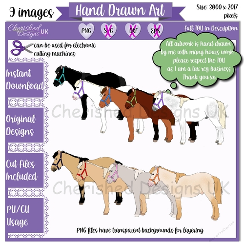 Horse - Pony Clipart for Designers