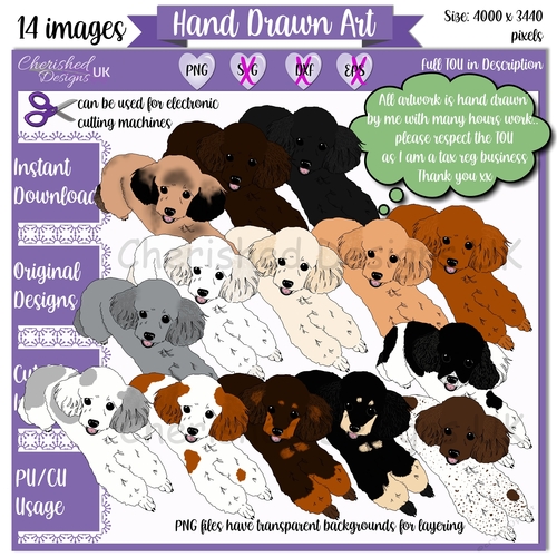 Poodle Clipart for Designers