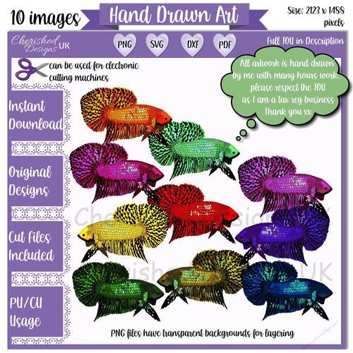 Siamese Fighting Fish Clipart for Designers