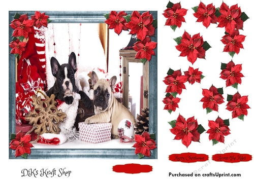 Pet Lovers Christmas
