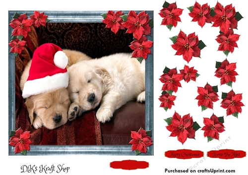Pet Lovers Christmas 2