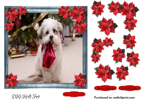 Pet Lovers Christmas 3