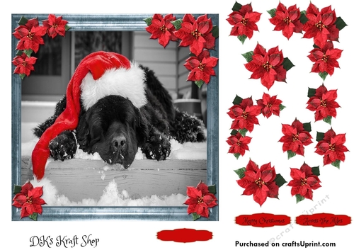 Pet Lovers Christmas 10