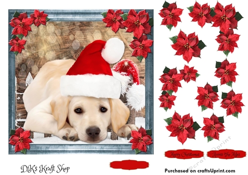 Pet Lovers Christmas 13