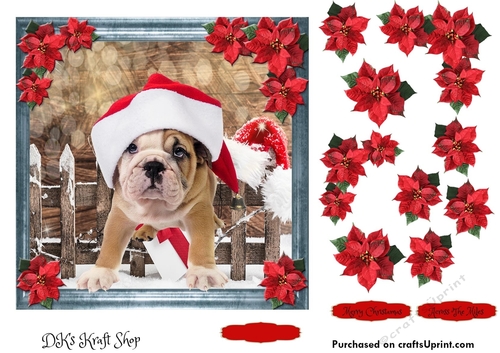Pet Lovers Christmas 14