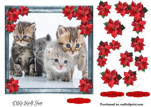 Pet Lovers Christmas 15