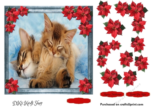 Pet Lovers Christmas 18