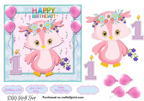 Little Owl First Birthday 4