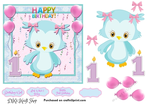 Little Owl First Birthday 5