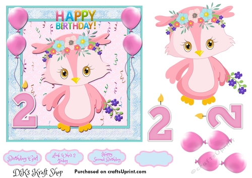 Little Owl Second Birthday 2