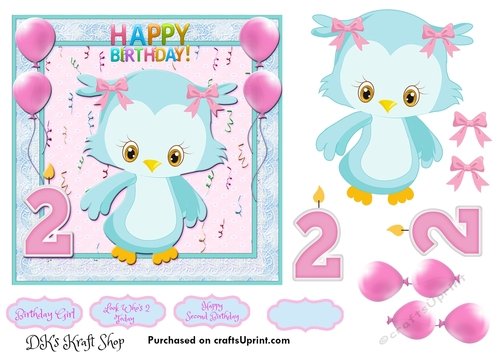 Little Owl Second Birthday 3